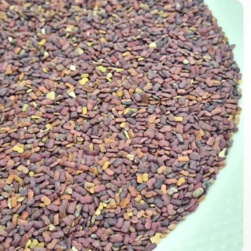 حلبة الخيل بدون رائحة 400جرام