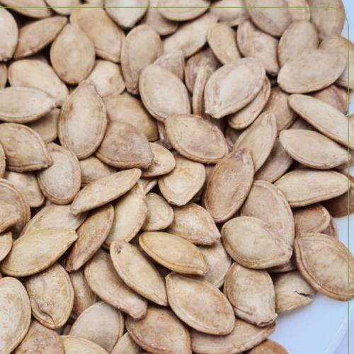 حب قرع مغربي