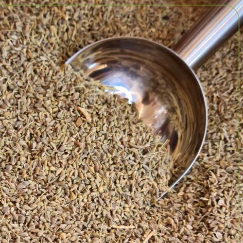 نخوة درجة اولى