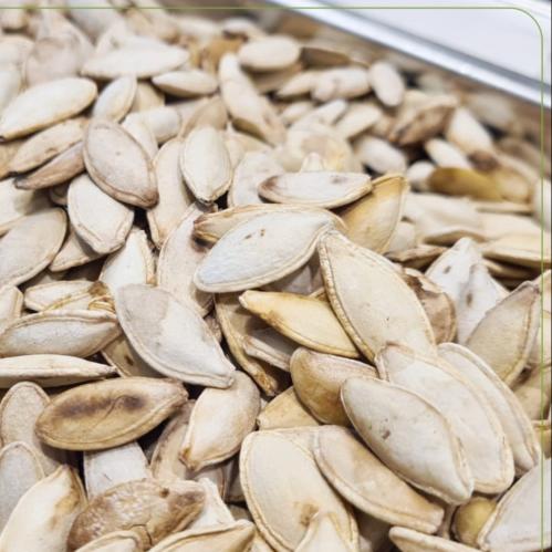 حب كوسا محموس