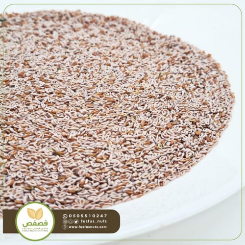 بذور القاطونة