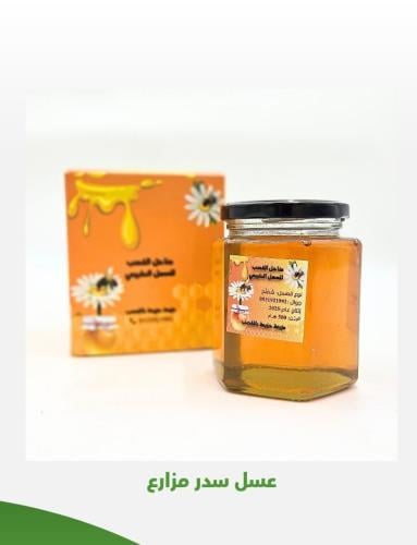 عسل سدر مزارع بلدي 500 جرام