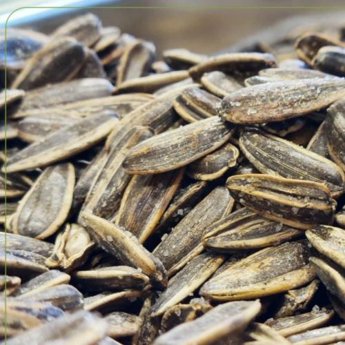 حب شمسي مالح ( ملح الهيمالايا )