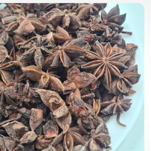 ياسنون يوناني نجمة اليانسون