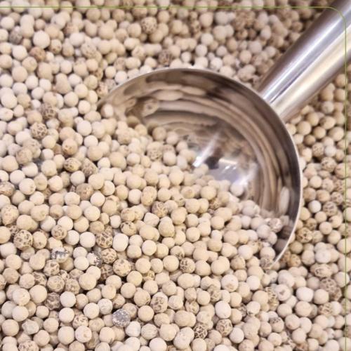 فلفل ابيض حب