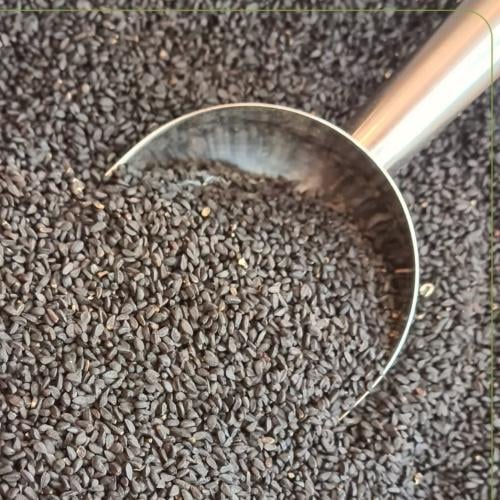 حبة البركة حبة سوداء قصيمي