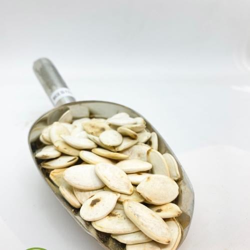 حب قرع مقمر