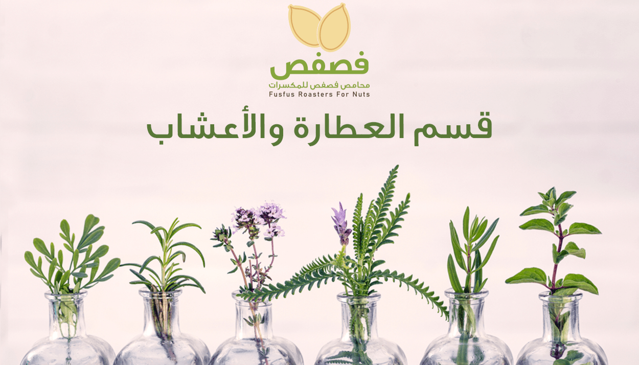 استشر طبيبك