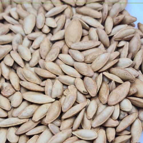 حب شمام مغربي