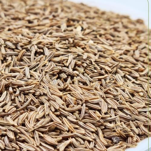 كراوية درجة اولى