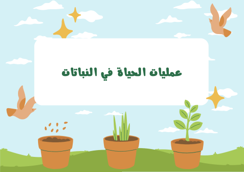 مطوية PDF عمليات الحياة في النباتات