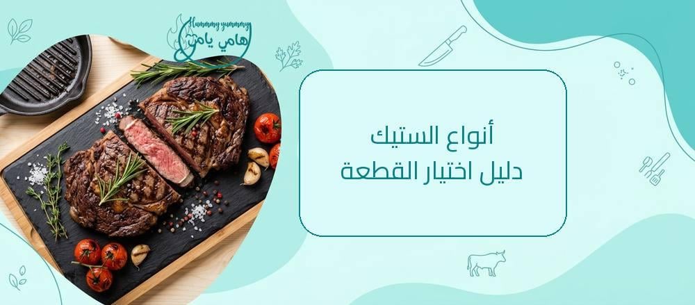 أنواع الستيك: دليل اختيار القطعة المناسبة لك