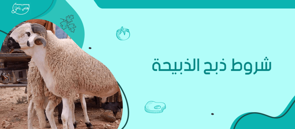 شروط ذبح الذبيحة | الطريقة الشرعية للذبح
