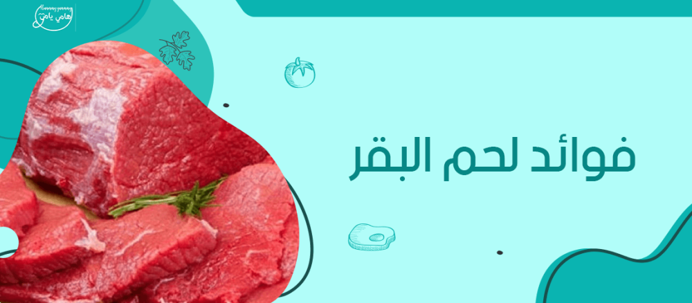 ما هي فوائد لحم البقر