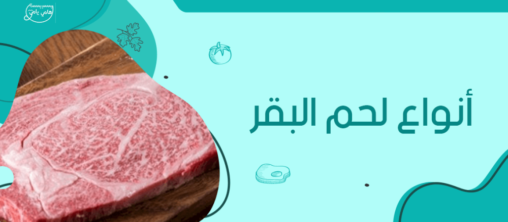 انواع لحم البقر | دليل شامل من هامي يامي