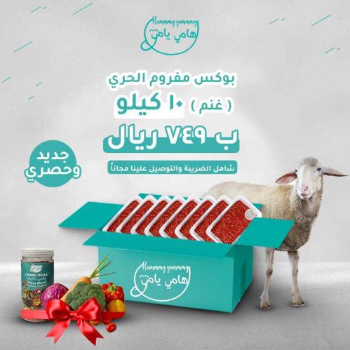 بوكس مفروم الحري غنم