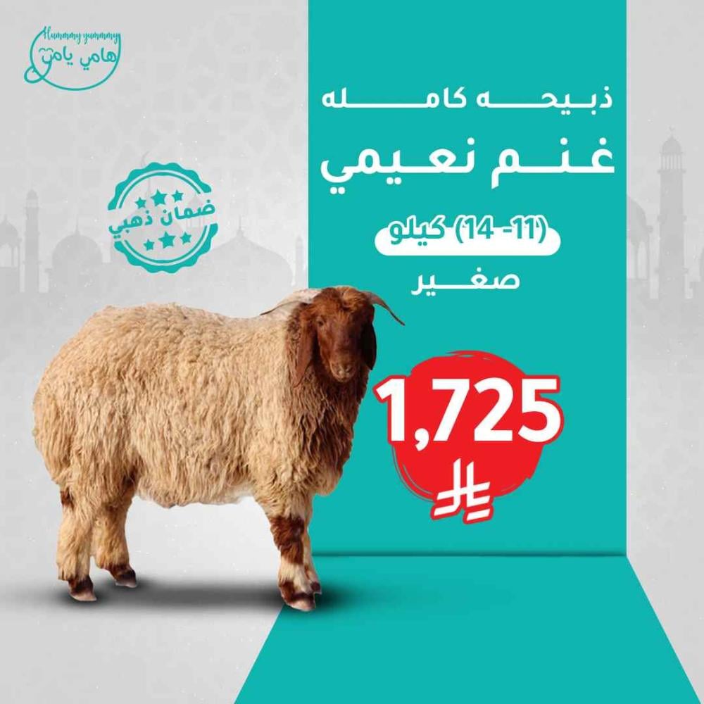 غنم نعيمي صغير