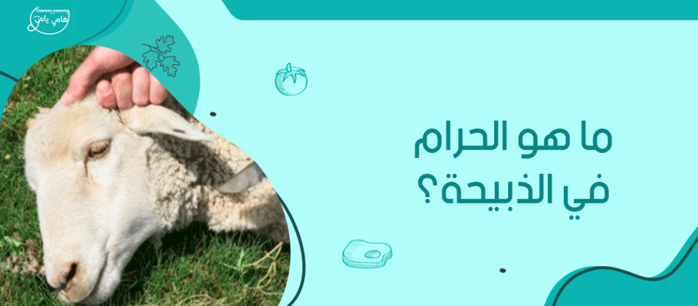 ما هو الحرام في الذبيحة | هامي يامي