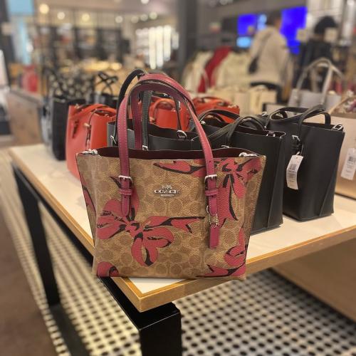 Mollie Tote 25 In Signature Canvas