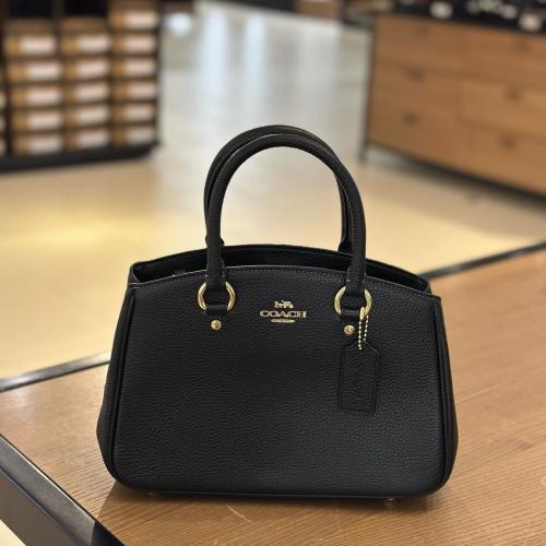 Savannah Small Carryall Bag