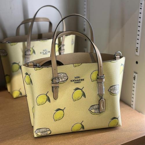 Mollie Tote 25