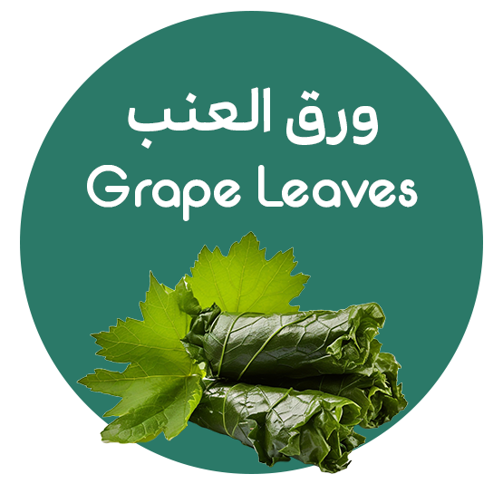 ورق العنب