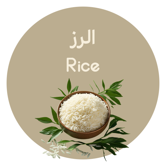 الأرز