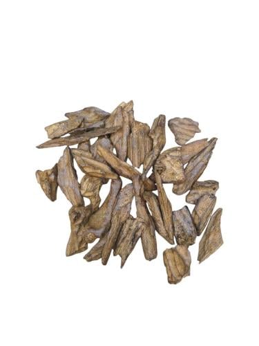 دقة العود الأزرق
