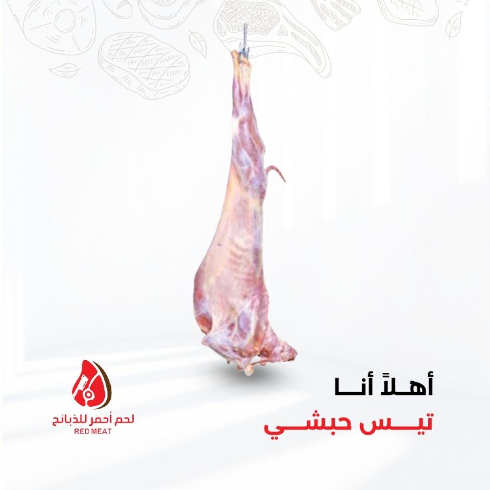 تيس حبشي مبرد