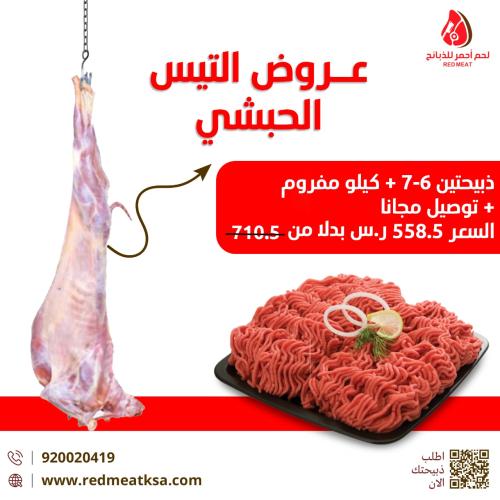 عرض التيس الحبشي ذبيحتين + كيلو مفروم