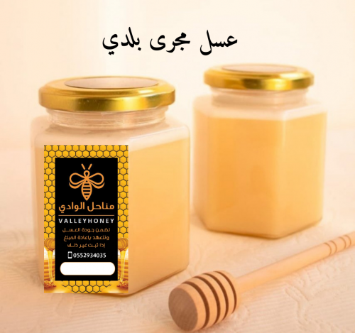 نصف كيلو عسل مجرى بلدي