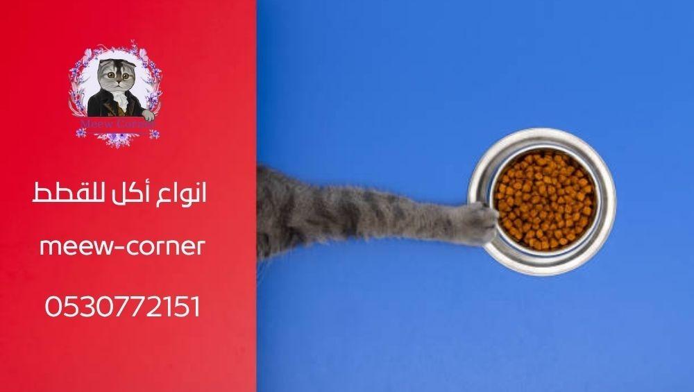 دليلك الكامل لاختيار انواع أكل للقطط