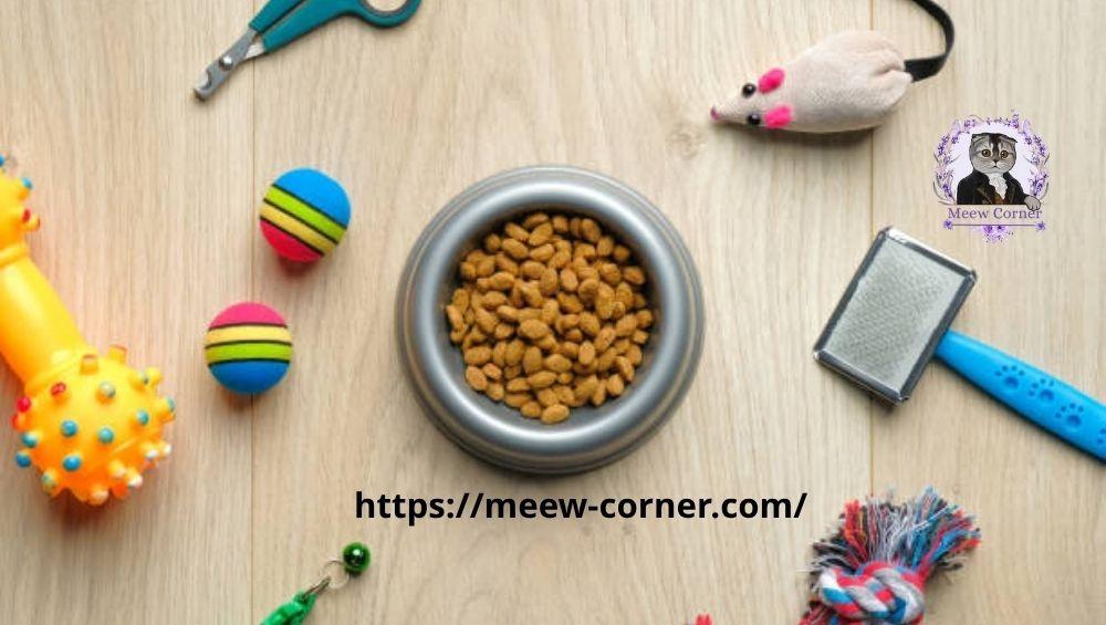 أفضل مستلزمات القطط المنزلية التي لا غنى عنها لكل مربي