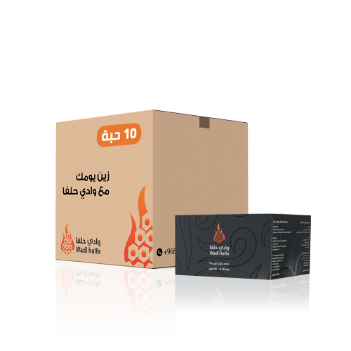 10 علب فحم بخور حجم وسط | 60 قرص