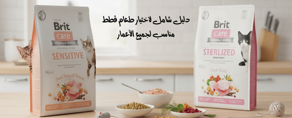 دليل شامل لاختيار طعام قطط مناسب لجميع الأعمار