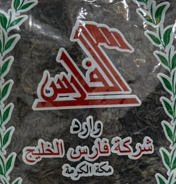 الفارس