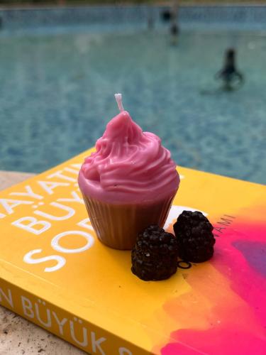 cupcake candle