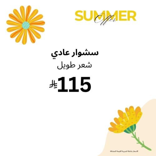 سشوار عادي شعر طويل