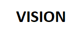 VISION