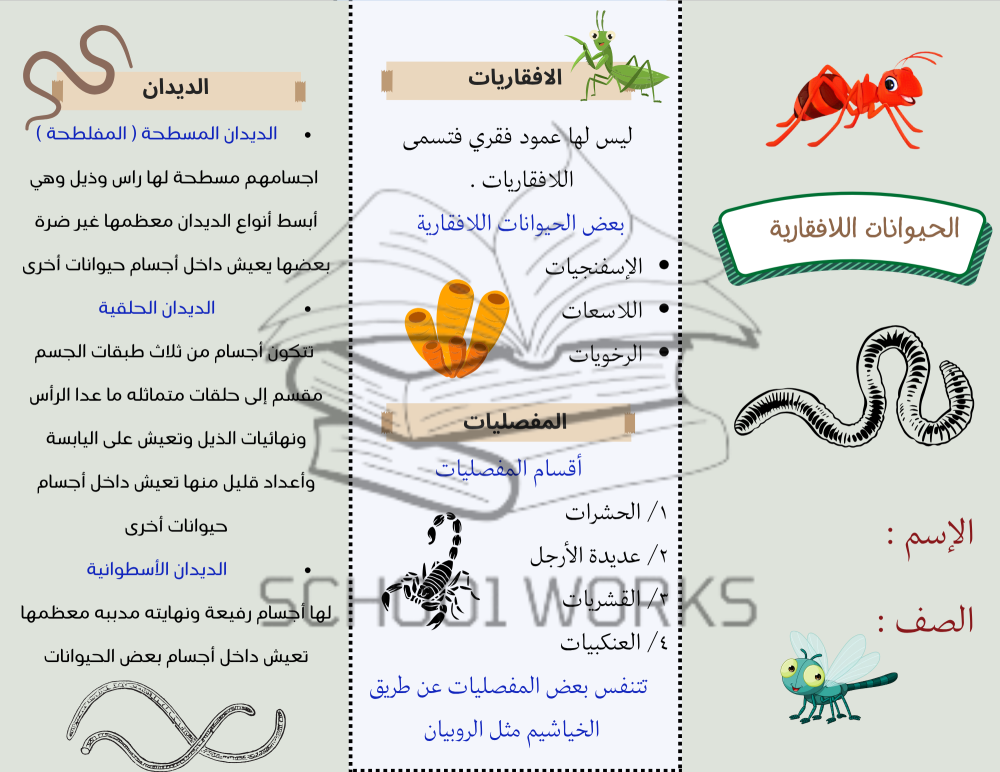 الحيوانات اللافقارية