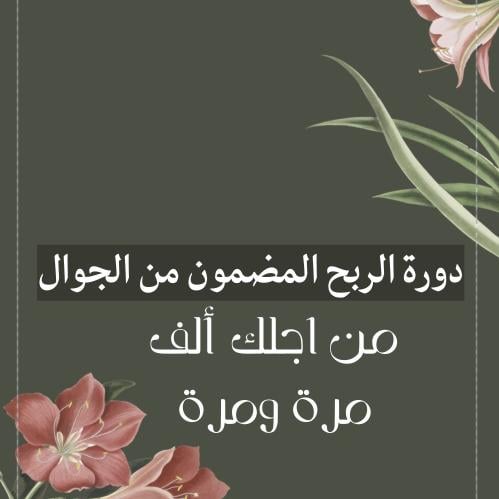 الربح من المنتجات الرقمية