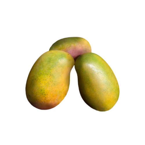 كرتون صغير مانجو سوداني
