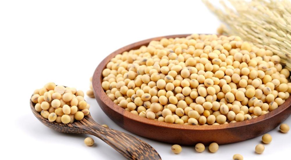 Benefits of soybeans