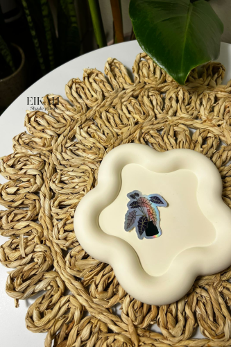 ستيكر لامع نبته Q