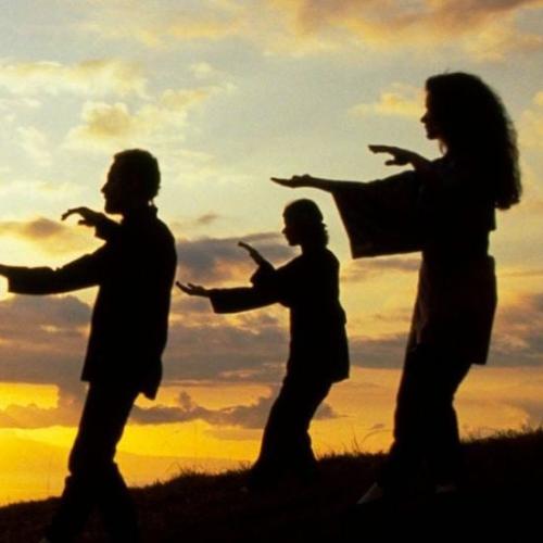 Tai chi session i جلسه تاي تشي (جماعيه)