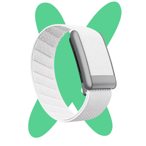 White band (5.0&MG)