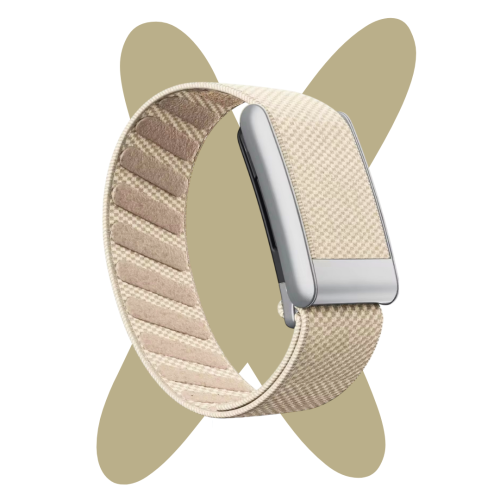 Beige band (5.0&MG)