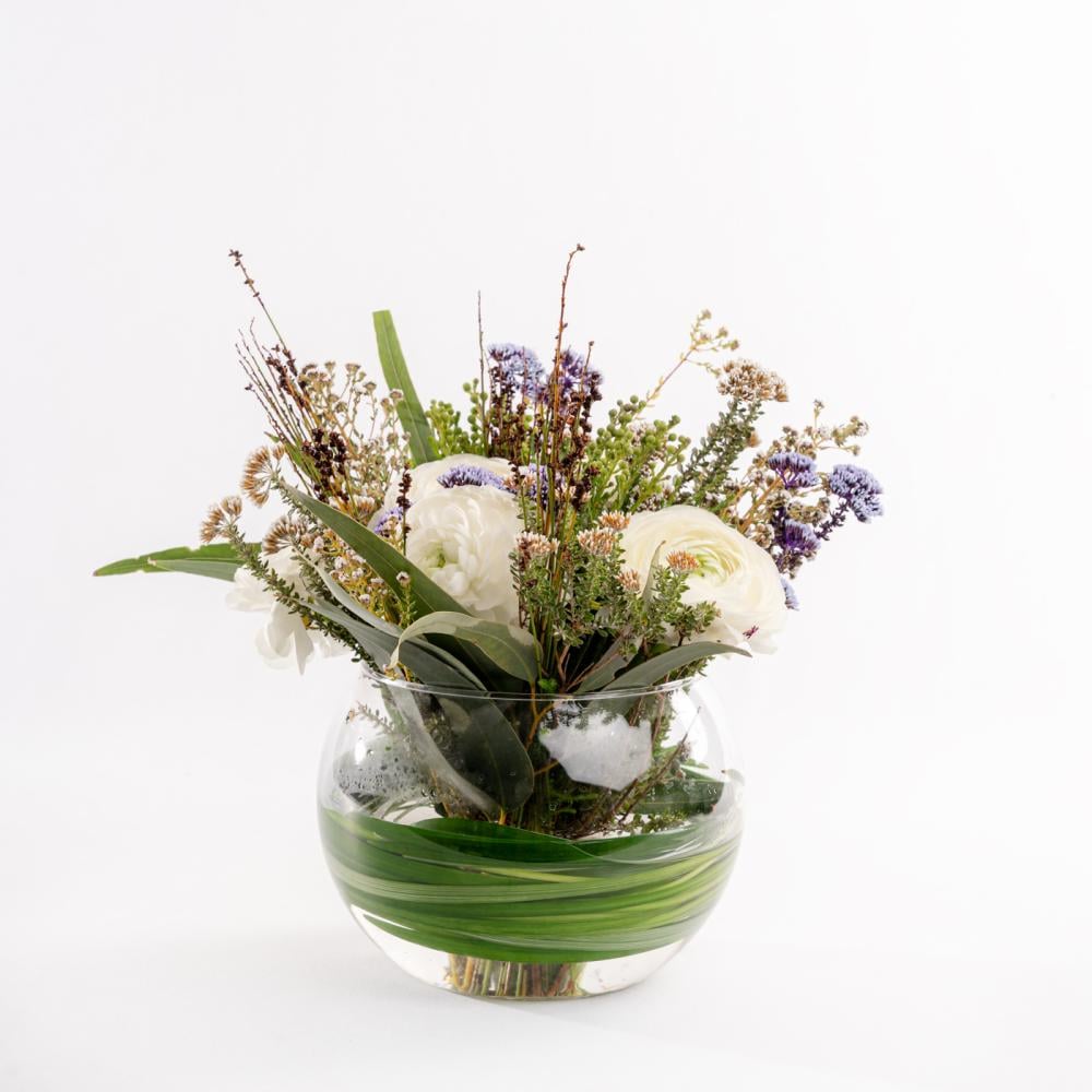 راننكولس وظلال البنفسج