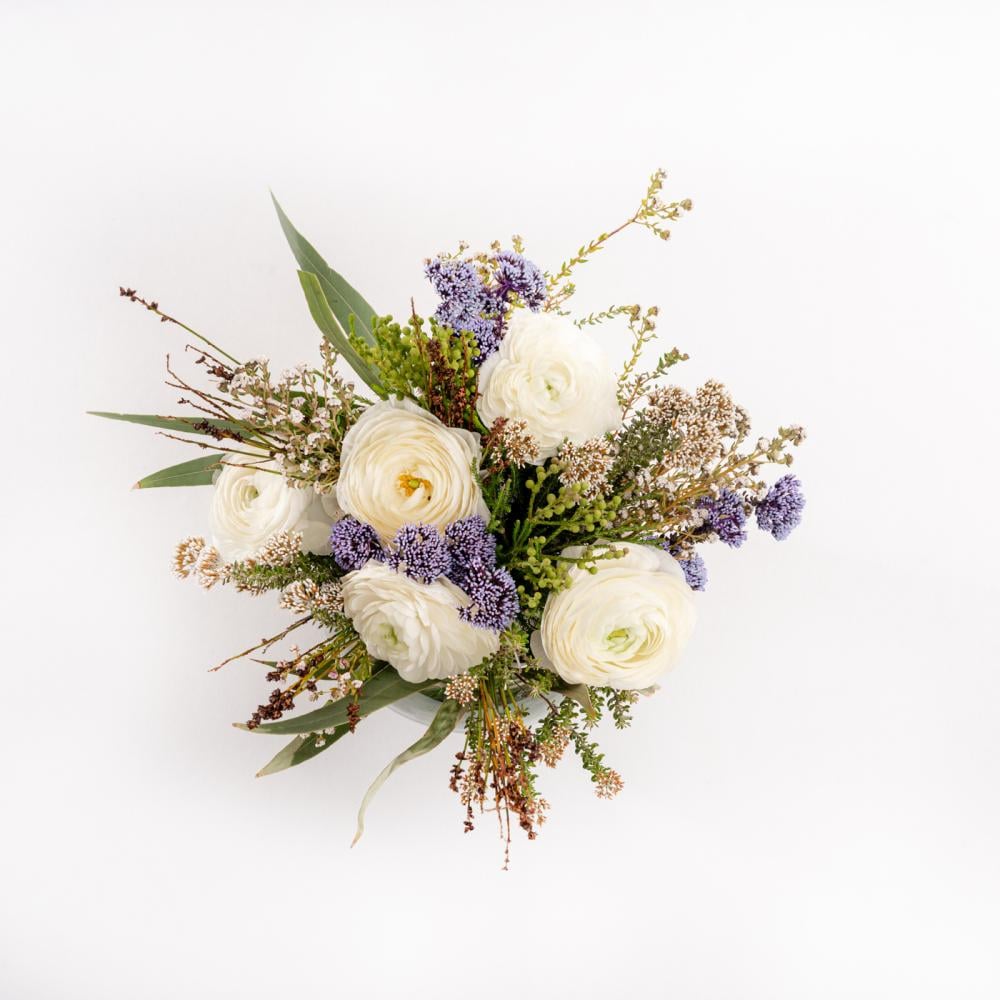 راننكولس وظلال البنفسج