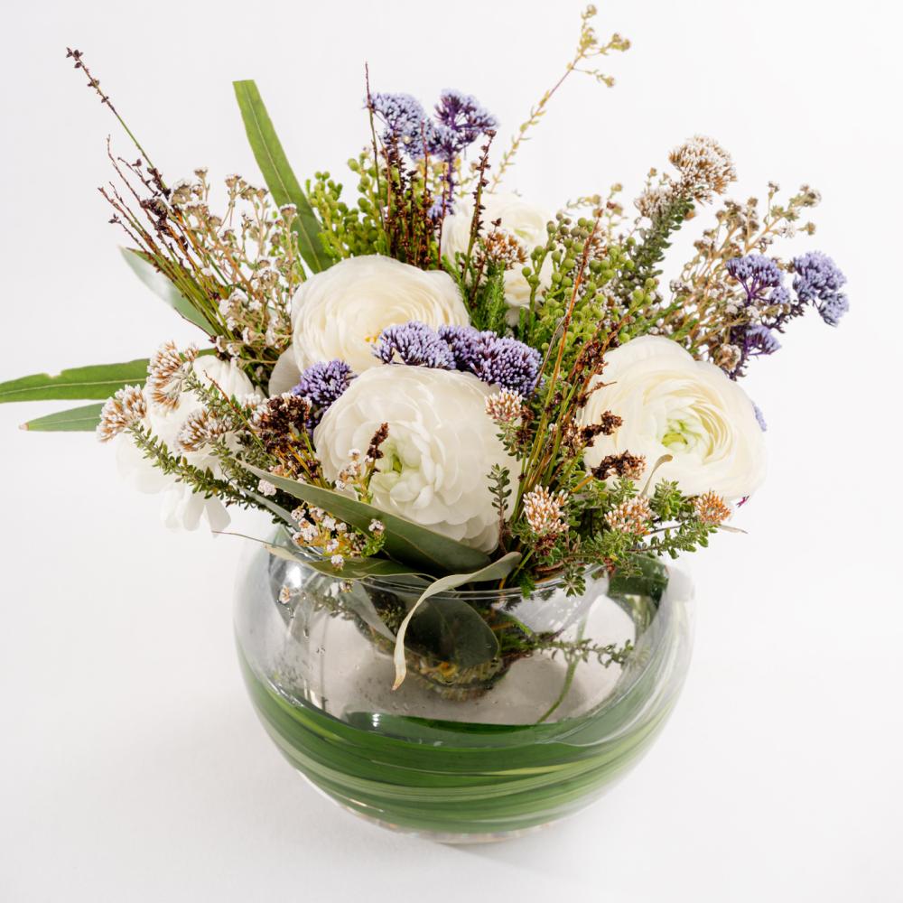 راننكولس وظلال البنفسج